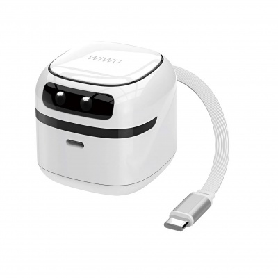 Củ Sạc Kèm Dây Type C 65W - Wiwu U037
