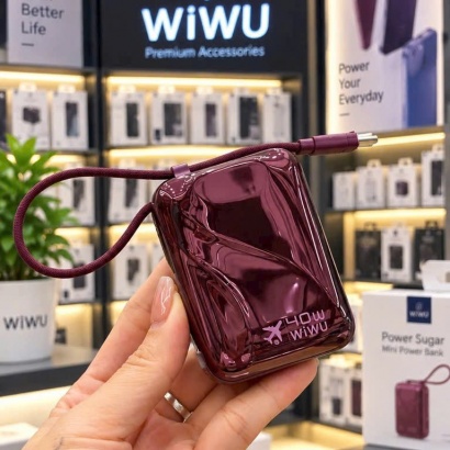 PIN DỰ PHÒNG MINI 10.000 mAh 40W WiWU 01BPD 