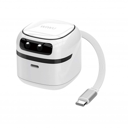 Củ Sạc Kèm Dây Type C 65W - Wiwu U037