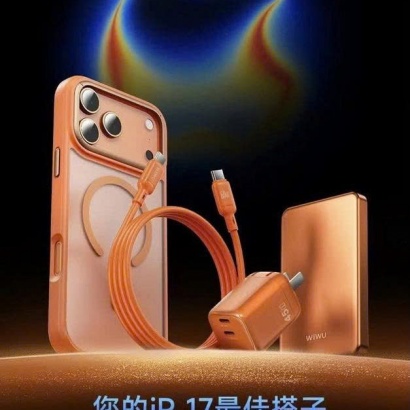 BỘ SẠC NHANH WIWU 45W G025